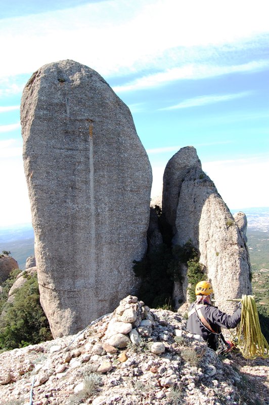Licheni di Montserrat (Barcelona, Spagna)